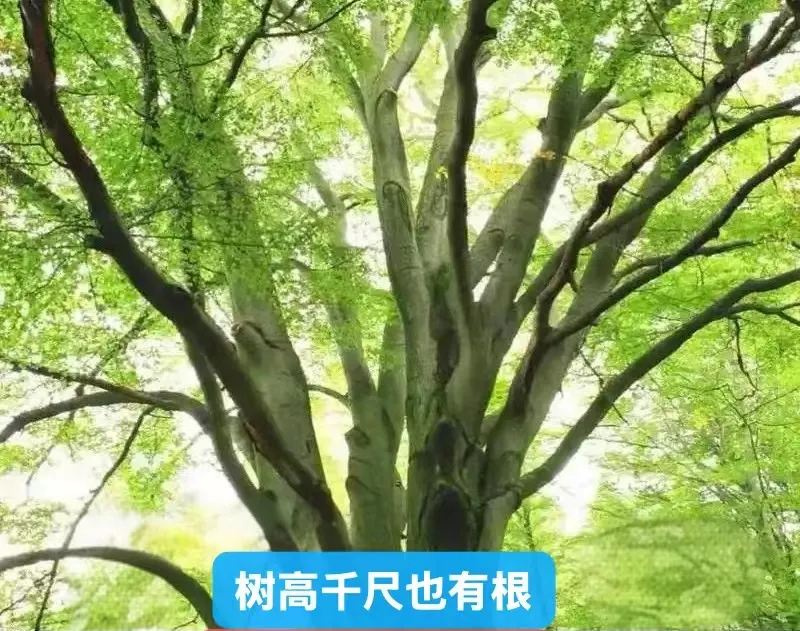 640(4).webp